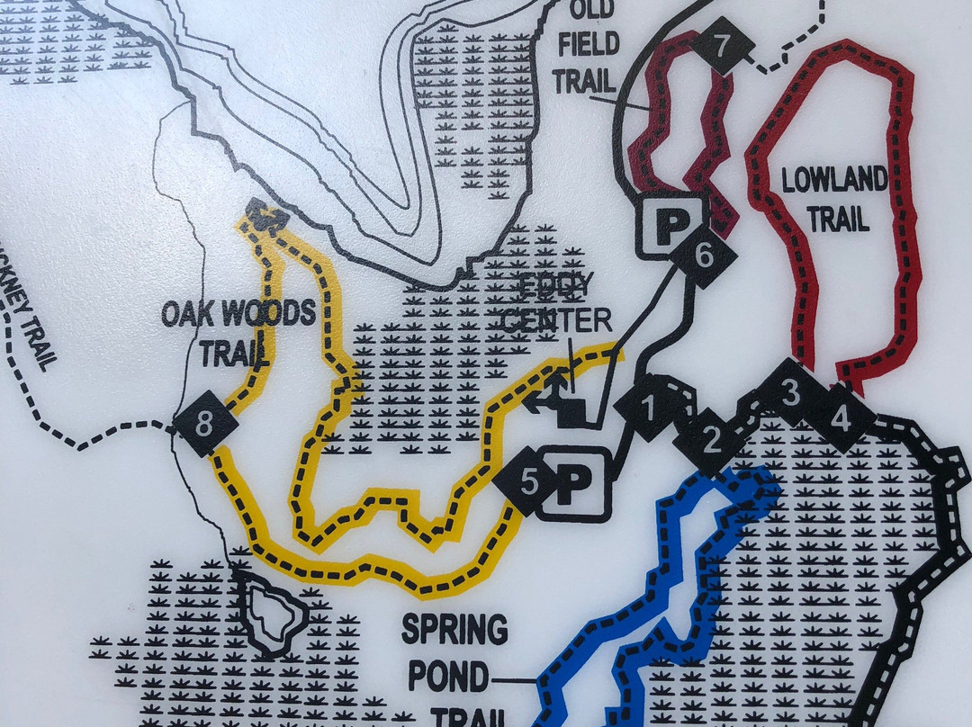 Waterloo Recreation Area-Chelsea必去景点