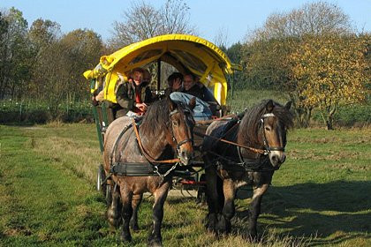 Pferdefuhrhalterei Winterberg-Winterberg必去景点