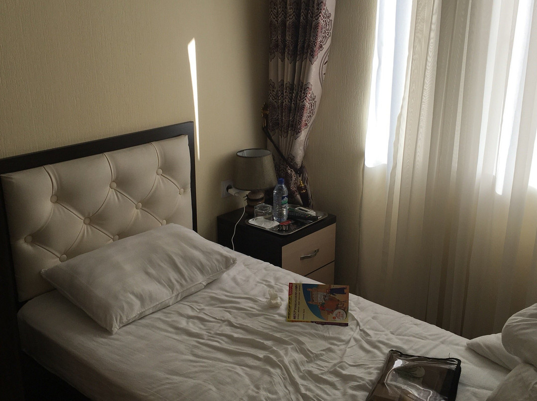 Hotel Art Palace主图