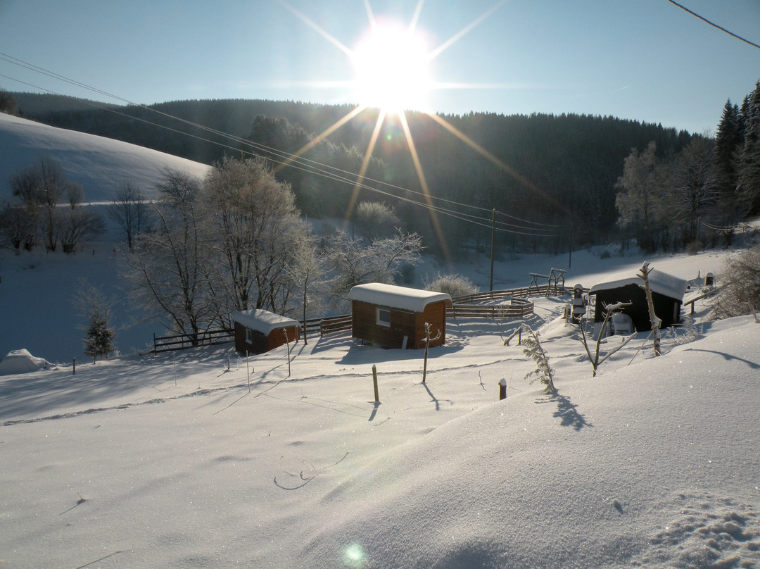 Landgasthof Nesselbach主图