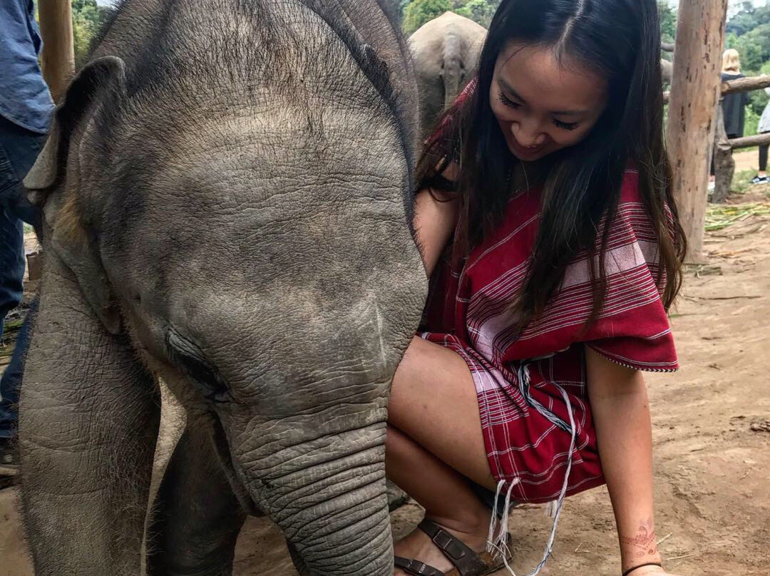 Elephant Pride Sanctuary-清迈必去景点