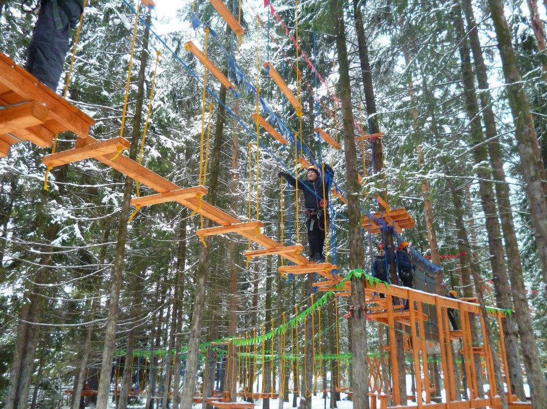 Rope Park Gammy景点图片