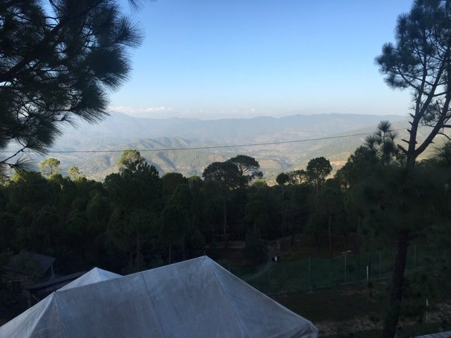 Seed At Queens Meadows, Ranikhet主图