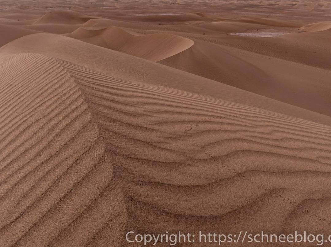 Foum Zguid to Chegaga Tours-Foum Zguid必去景点