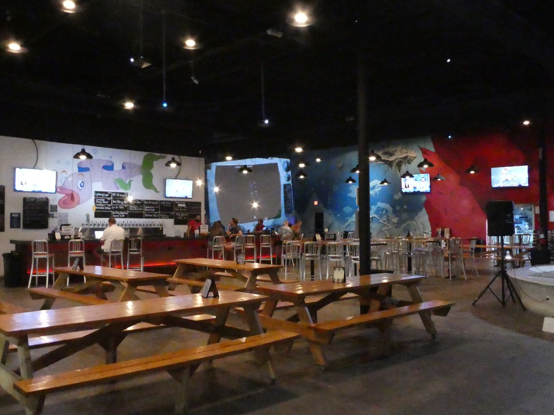 81 Bay Brewing Co-坦帕必去景点