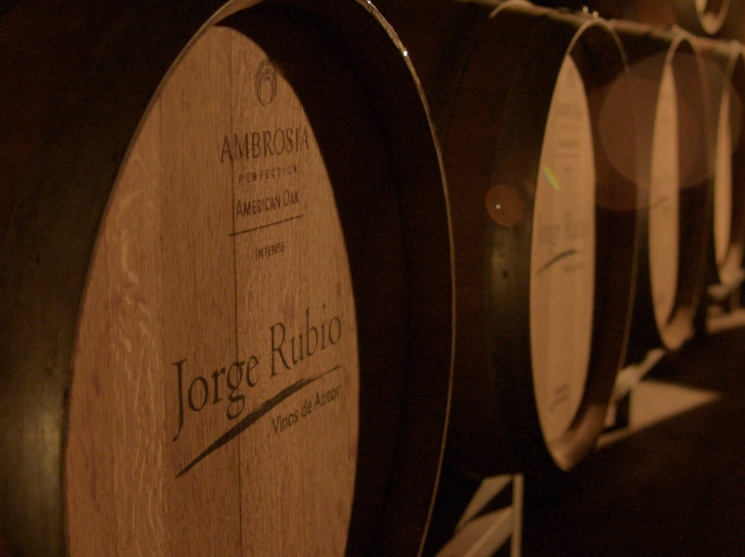 Bodega Familia Rubio (Jorge Rubio)景点图片