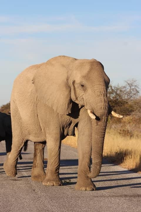 Marek Adventures-温德和克必去景点