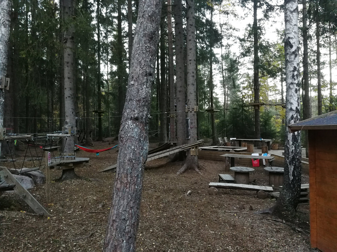 Oslo Klatrepark-奥斯陆必去景点