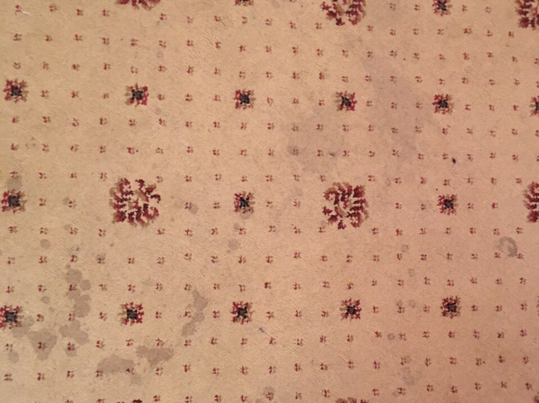 New Tobol Hotel主图