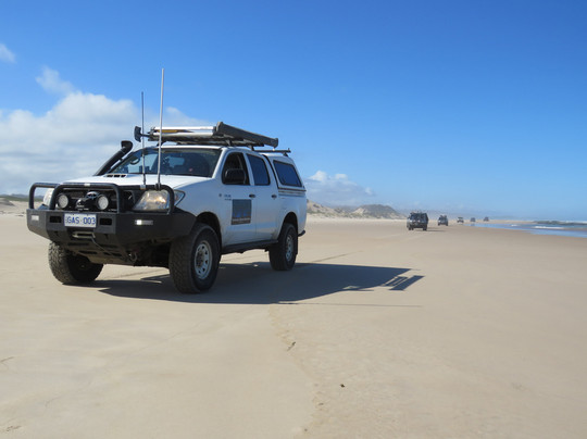 Tasmanian Offroad Adventures-朗塞斯顿必去景点