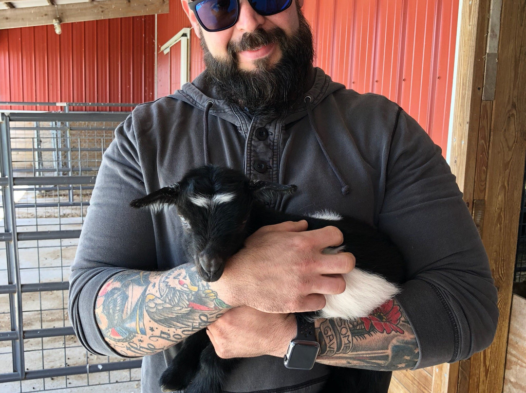 Busy Barns Adventure Farm-Fort Atkinson必去景点