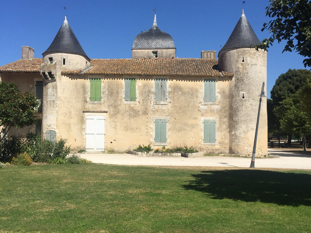 Chateau de Bonnemie景点图片