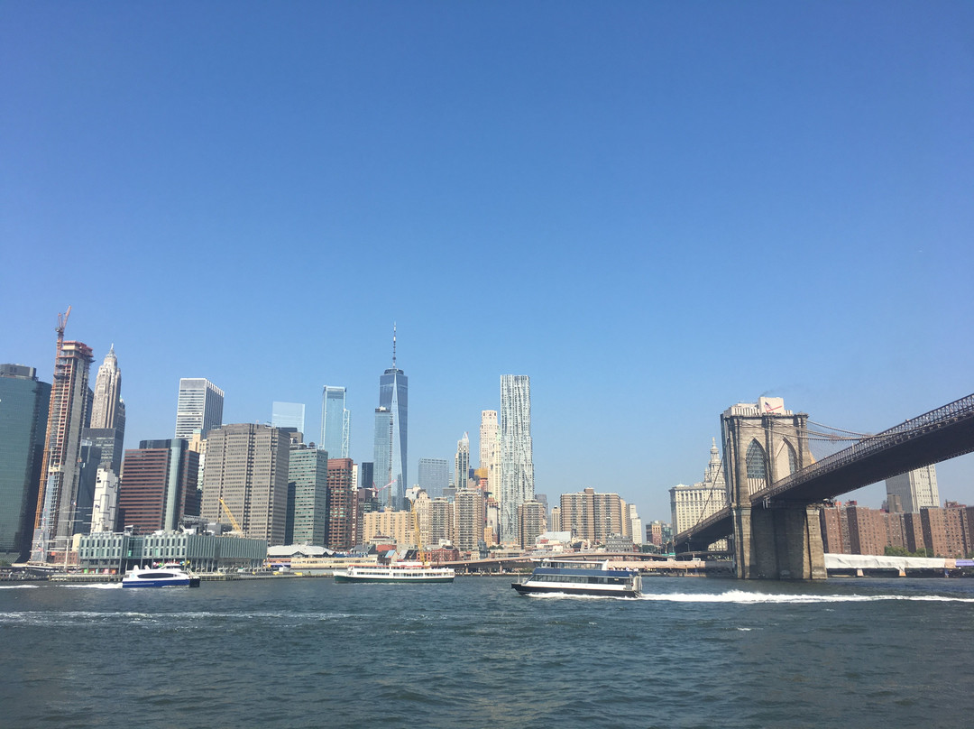 Brooklyn Ferry Service景点图片
