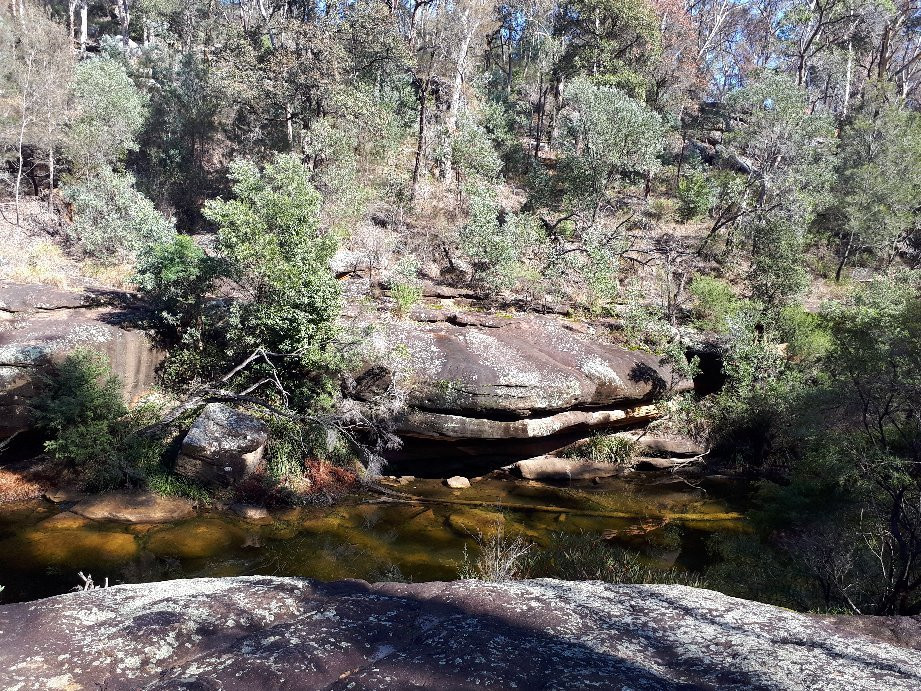 Ingleburn Reserve景点图片