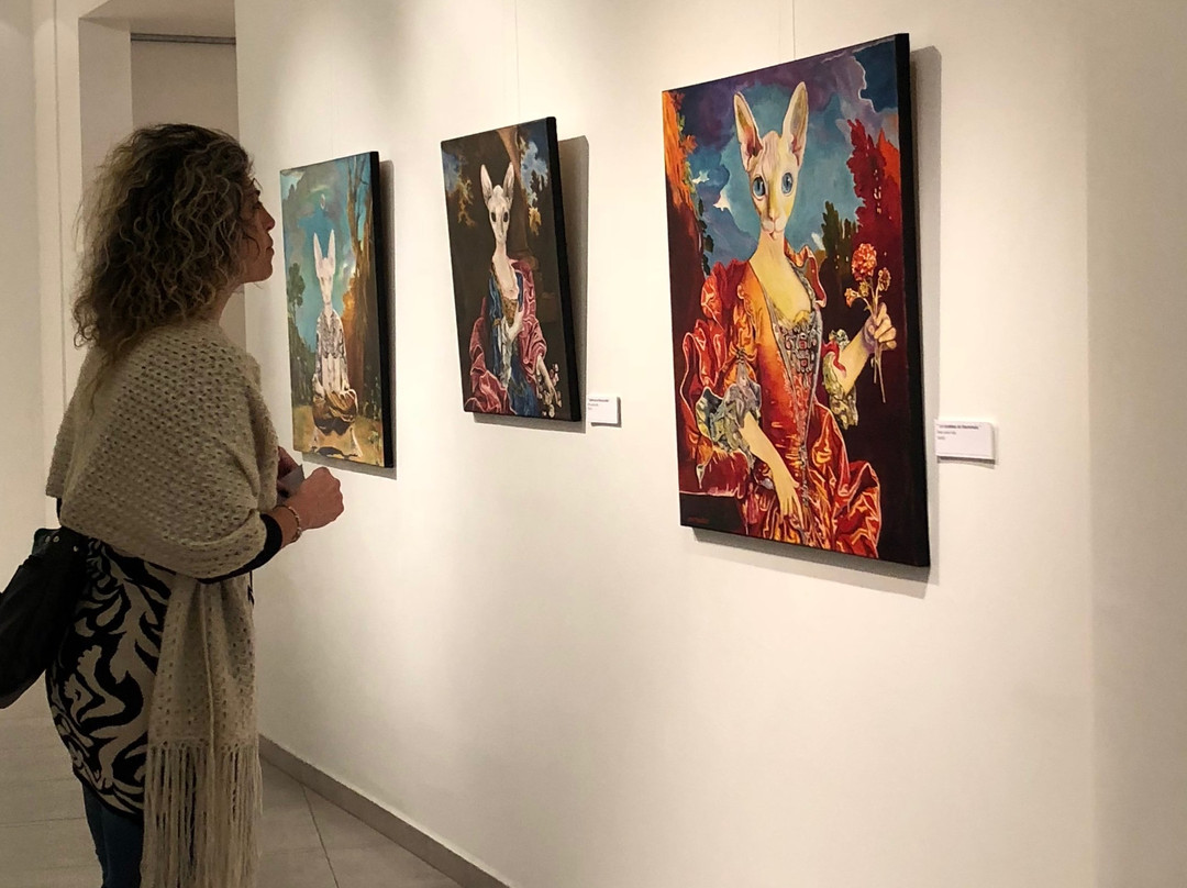 9,37 Sudestada-蒂格雷必去景点