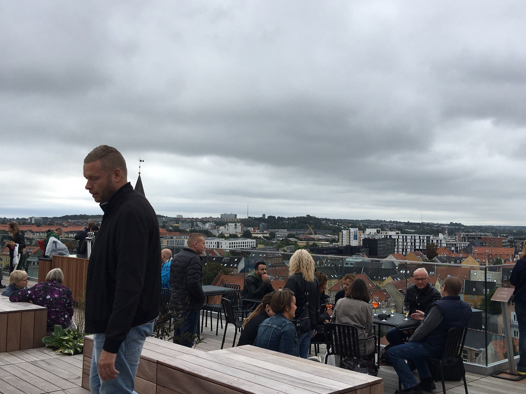 Salling Rooftop Aalborg景点图片