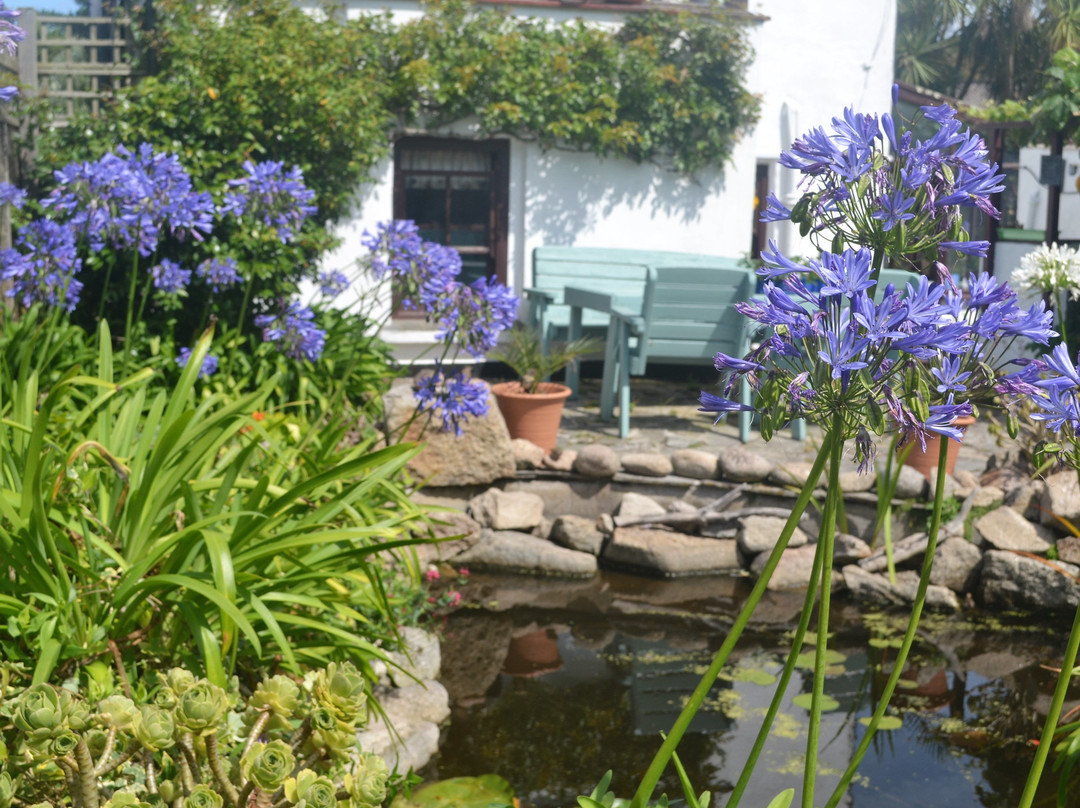 The Old Chapel Bed and Breakfast主图