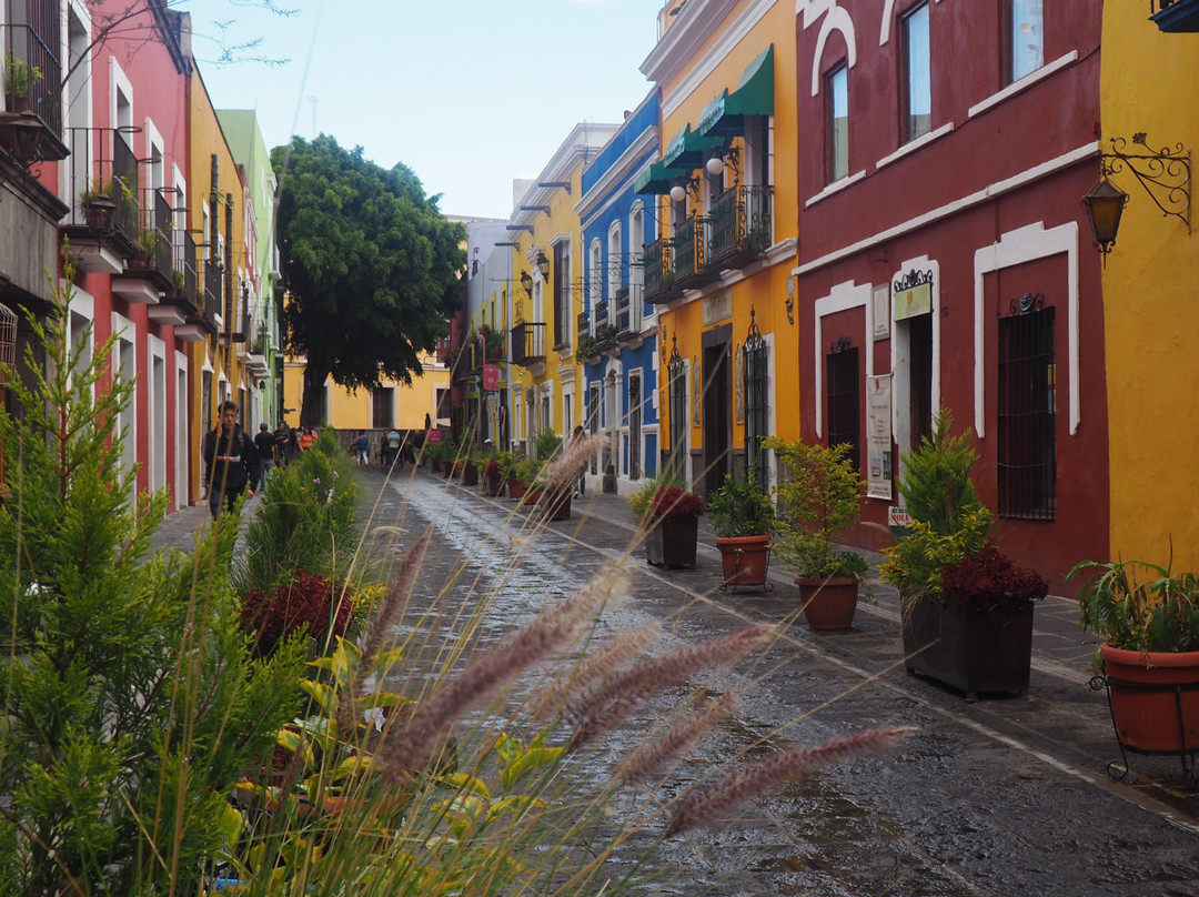 Callejón de los Sapos景点图片