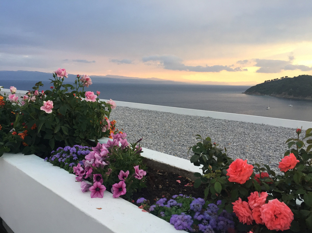 斯基亚索斯岛宫殿酒店主图