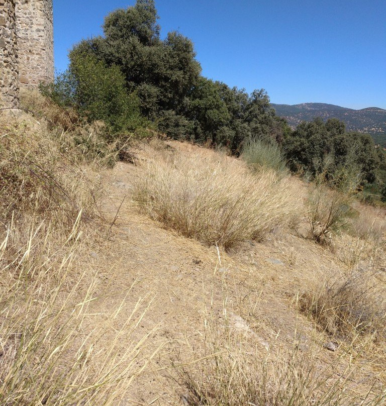 Castillo Cala景点图片