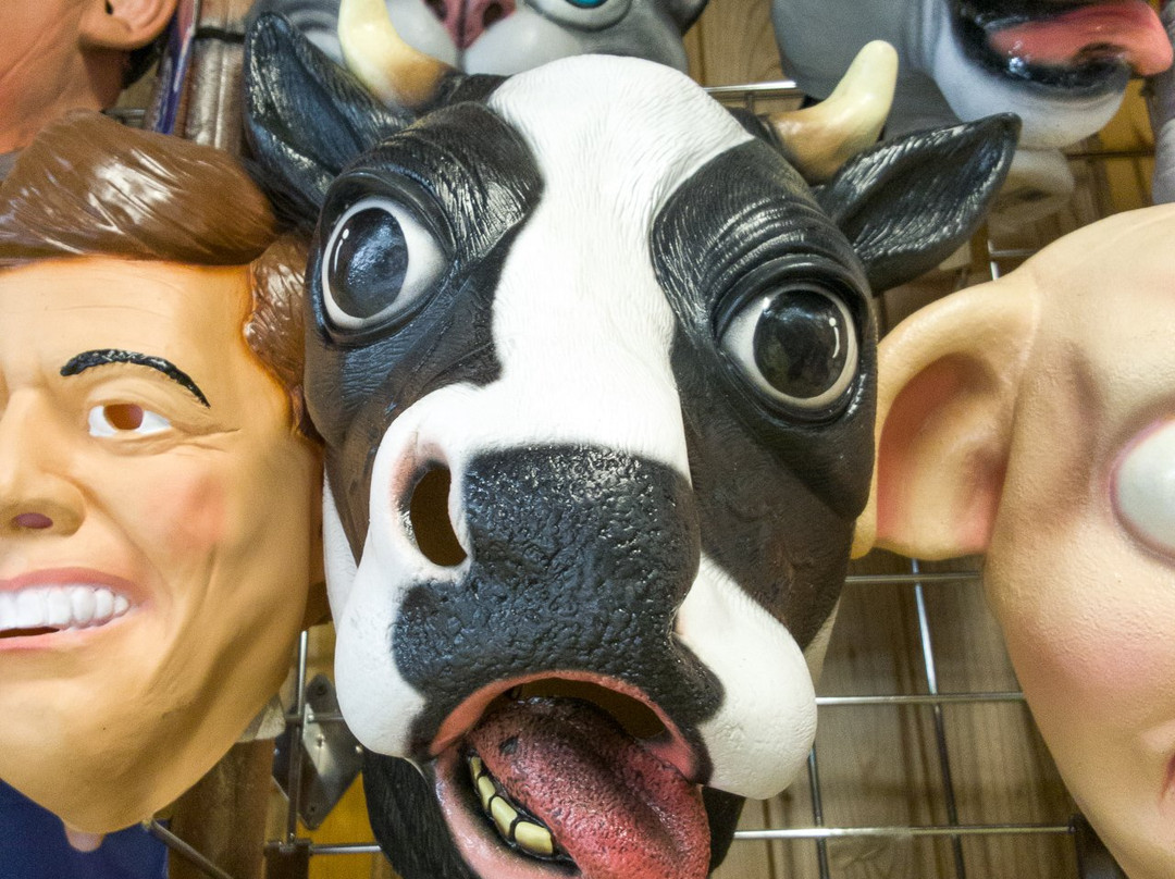 Stagecoach-卡尼必去景点