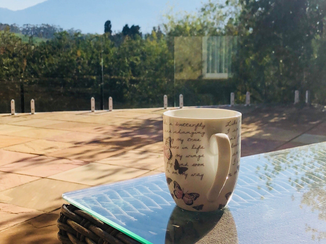 African Tulip Guesthouse主图