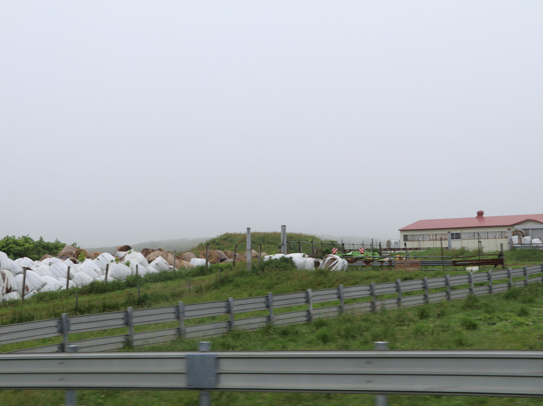 Yagishiri Menyo Bokujo-羽幌町必去景点