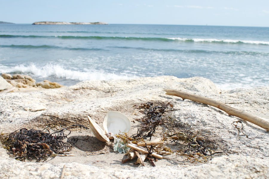 Osprey Sportfishing-格罗顿必去景点