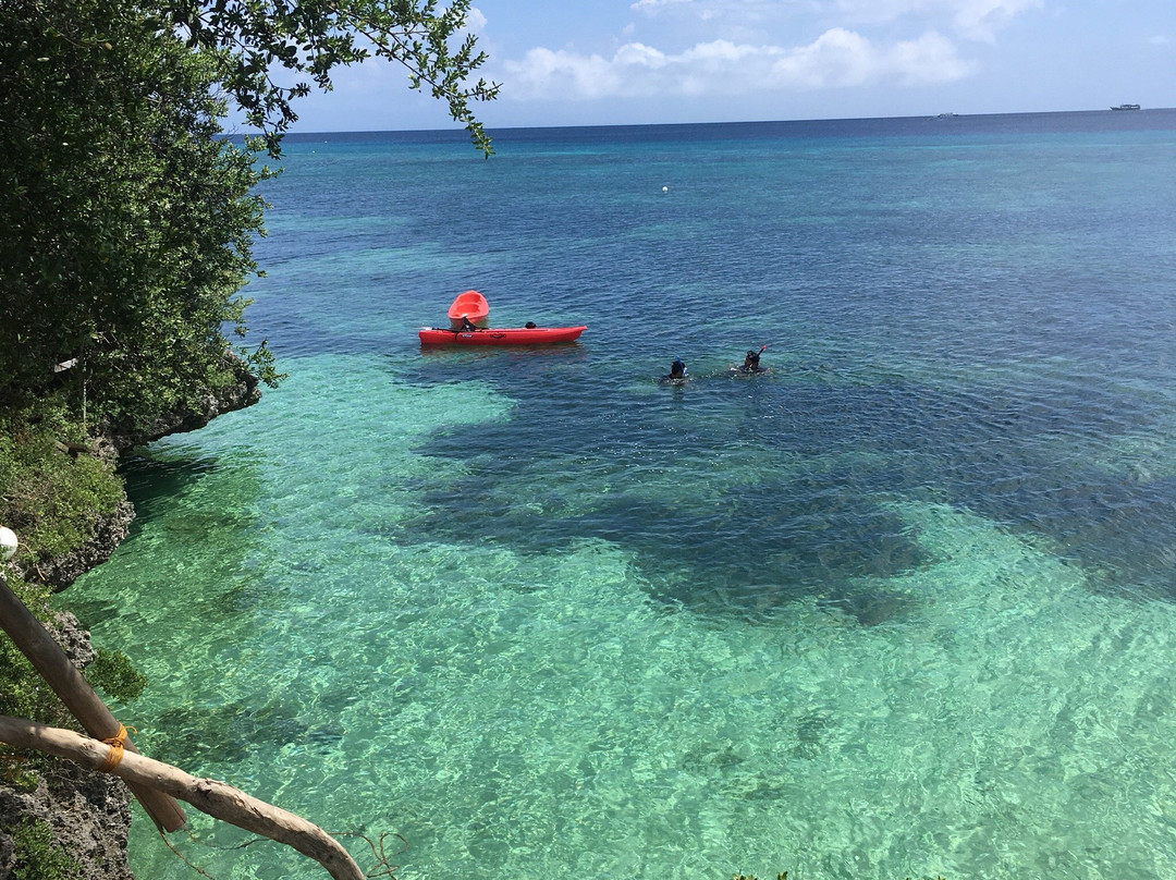 Caticugan Marine Sanctuary景点图片