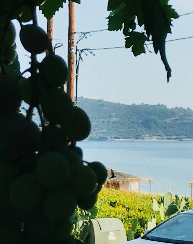 Sarti Paradise主图