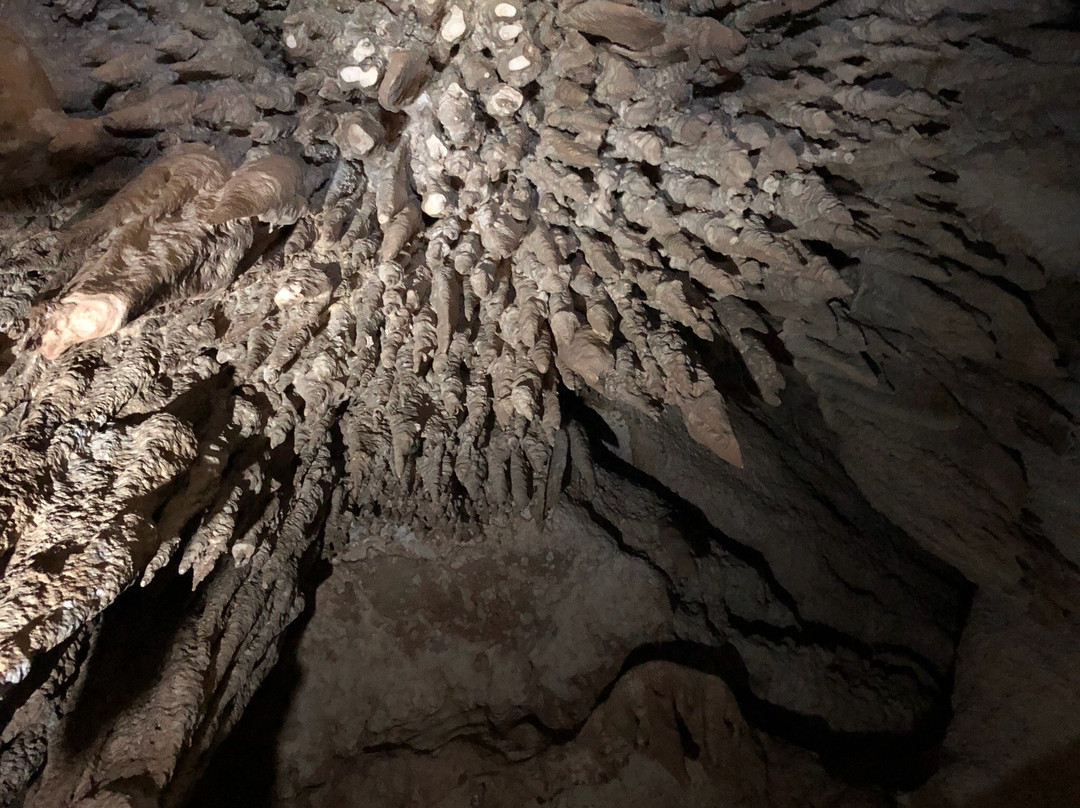 Cuta Cuta Cave-凯瑟琳必去景点