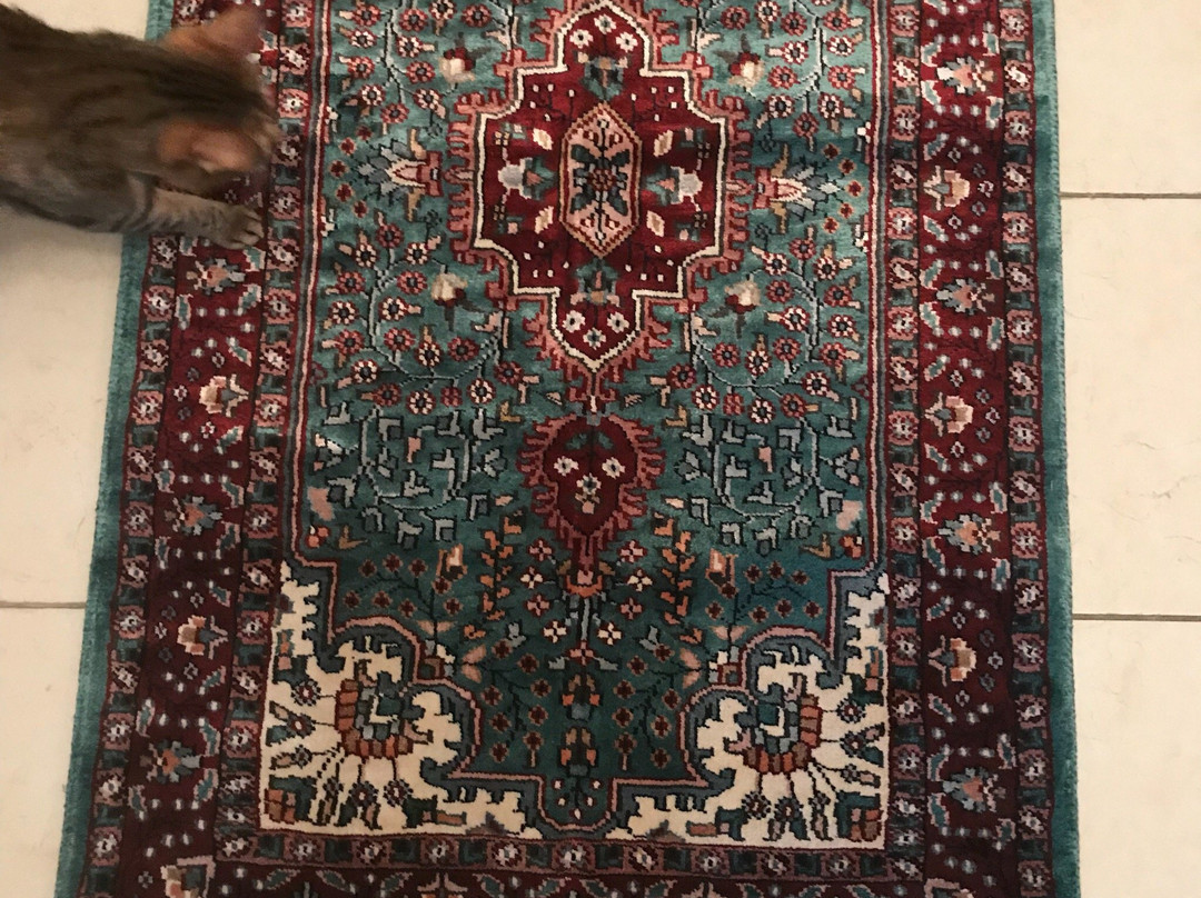 Persian Carpets Kingdom景点图片