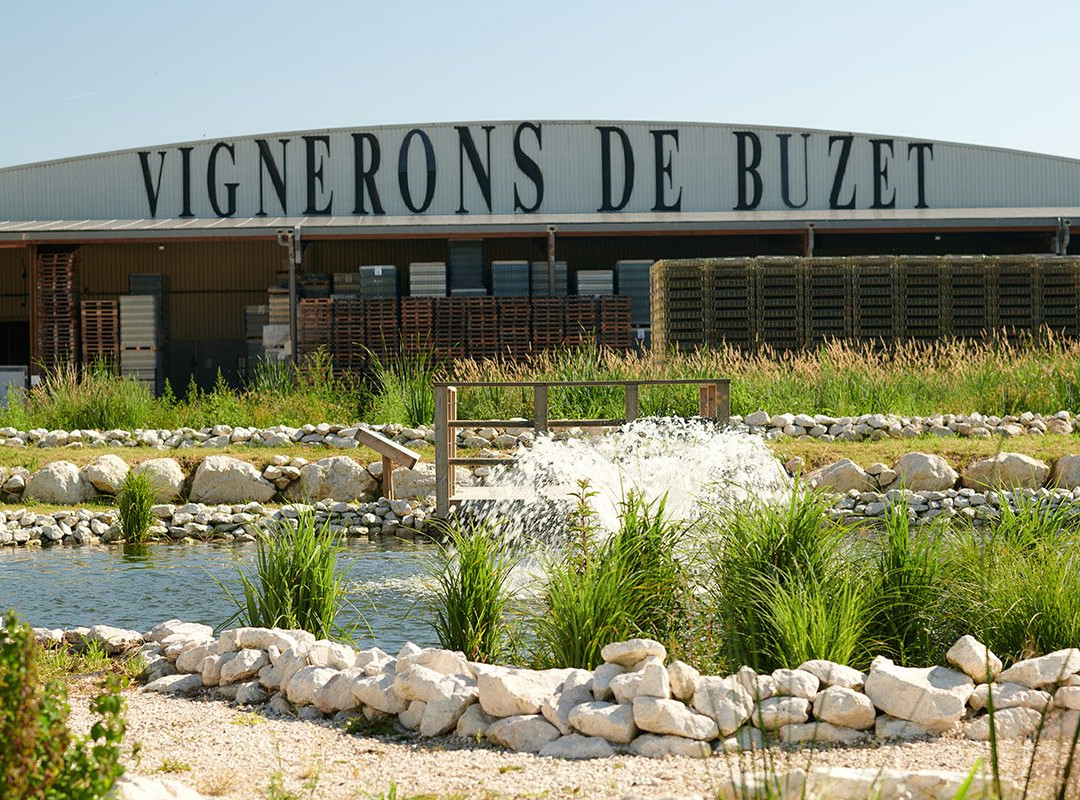 Les Vignerons de Buzet景点图片