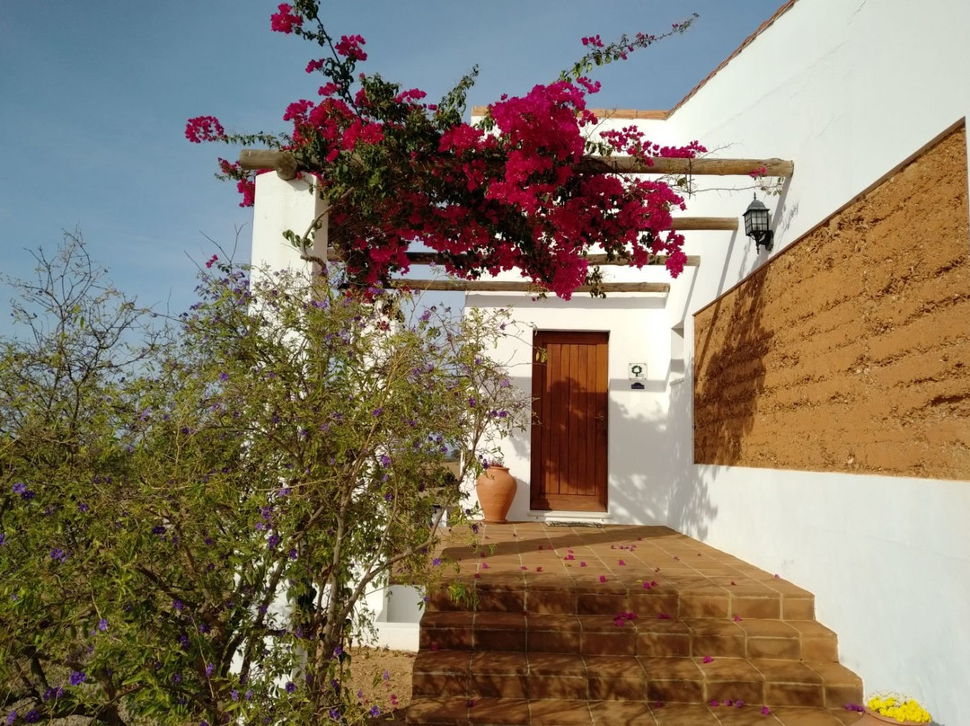 Cantar do Grilo主图