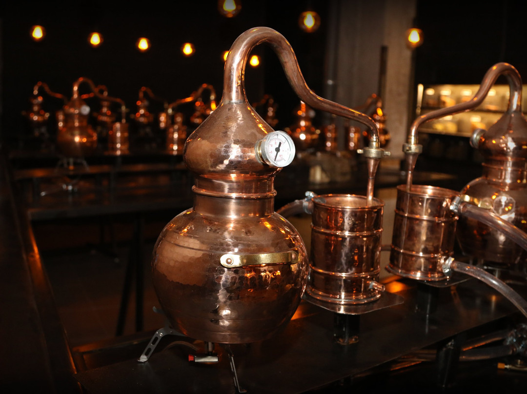 Mallorca Gin Distillery Experience景点图片