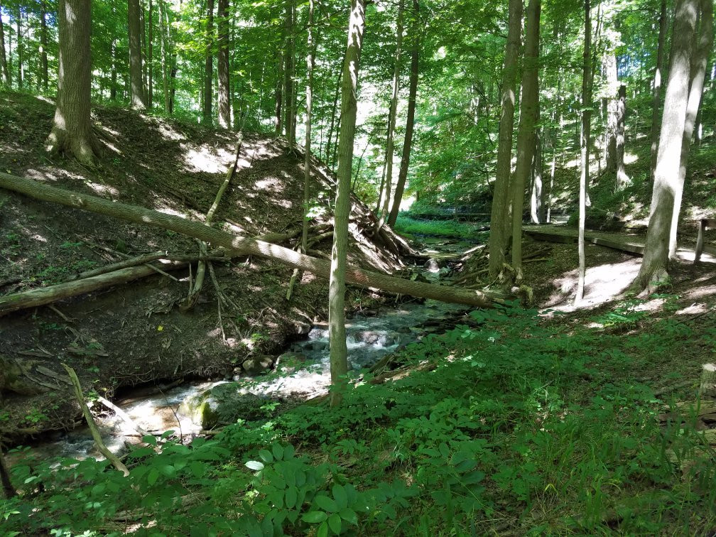 Kalamazoo Nature Center景点图片