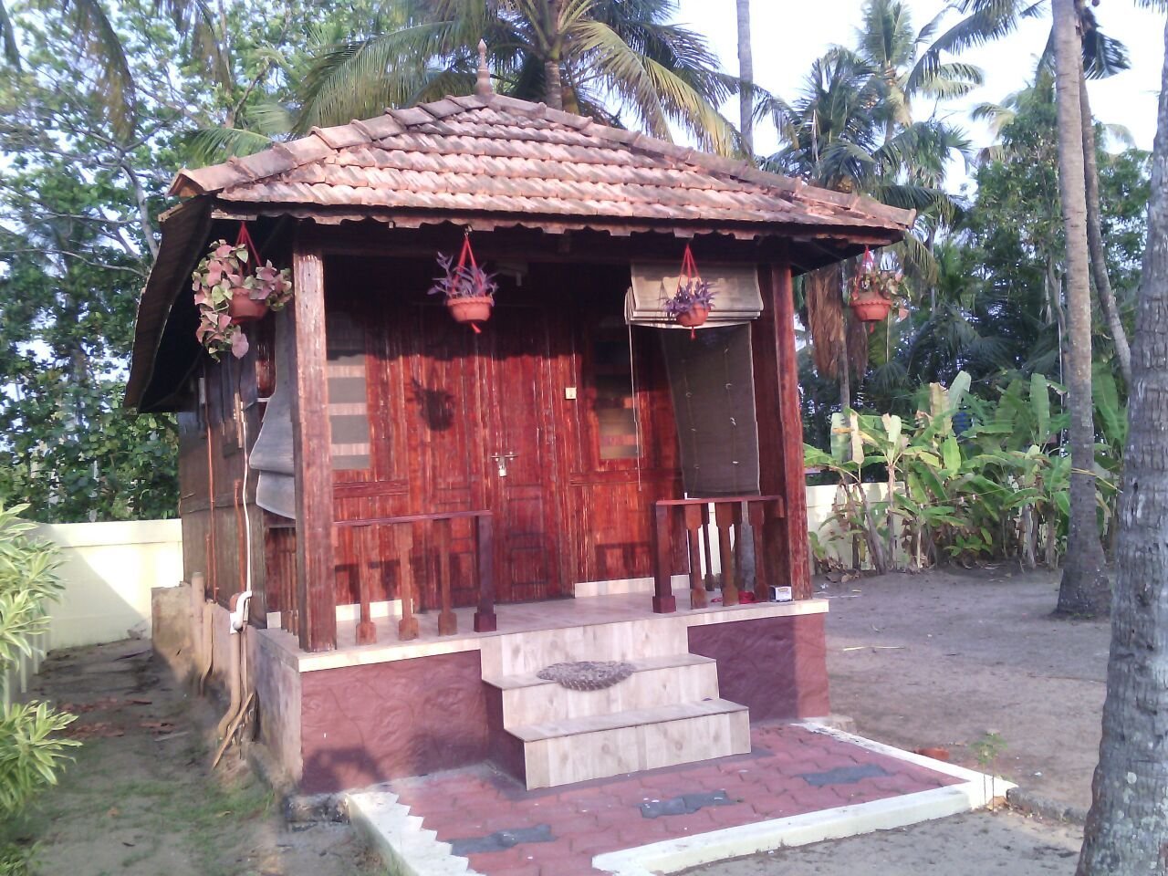 Coconut Palms-官方