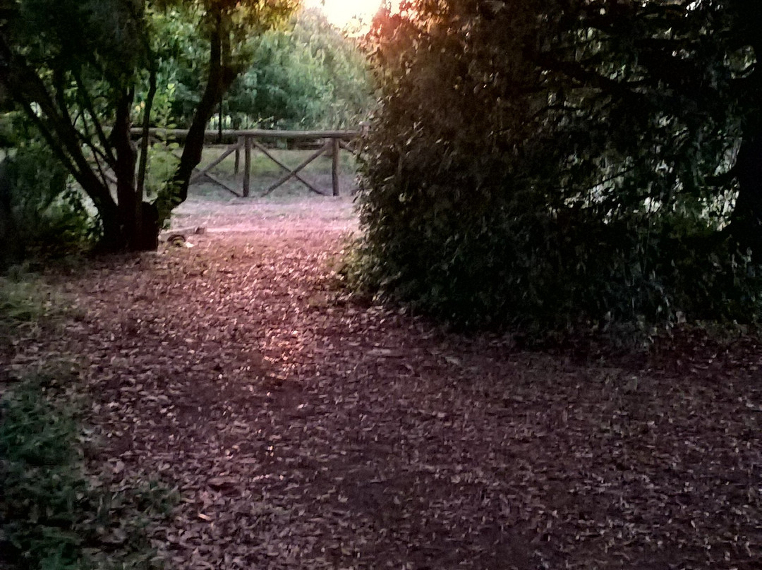 La Paloma B&B DI Charme主图