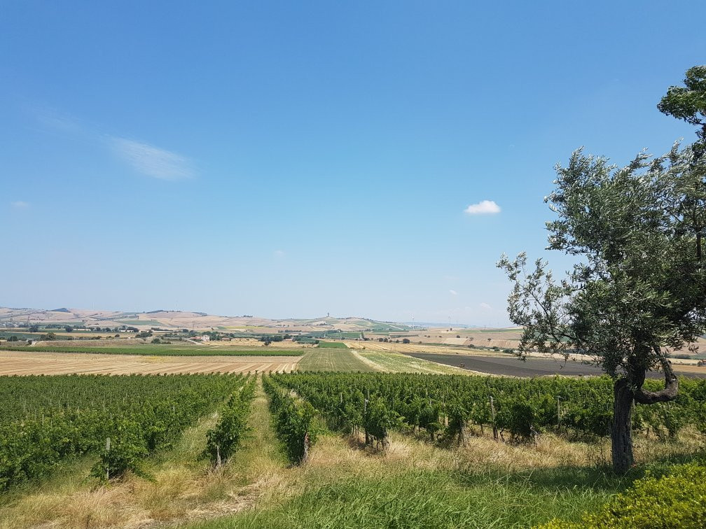 Cantine D'Uva-Larino必去景点