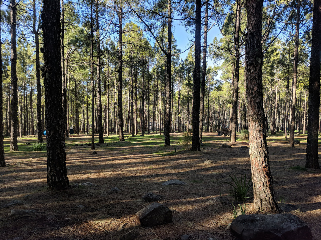 Llanos De La Pez景点图片