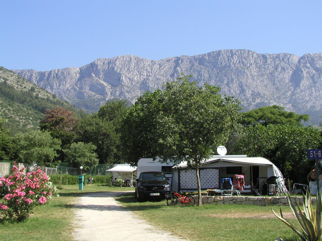 Camping Viter