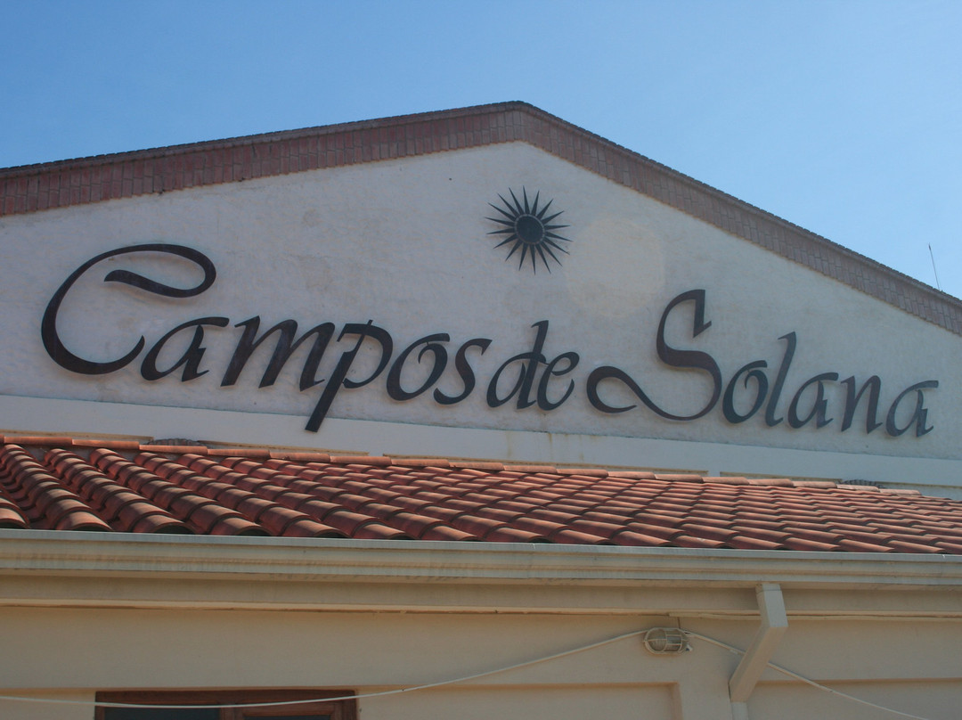 Bodega Campos de Solana-塔里哈必去景点