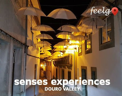 Feelgo Portugal-Maia必去景点