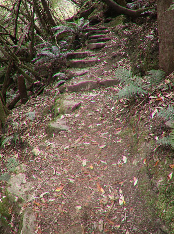 Secret Falls-霍巴特必去景点