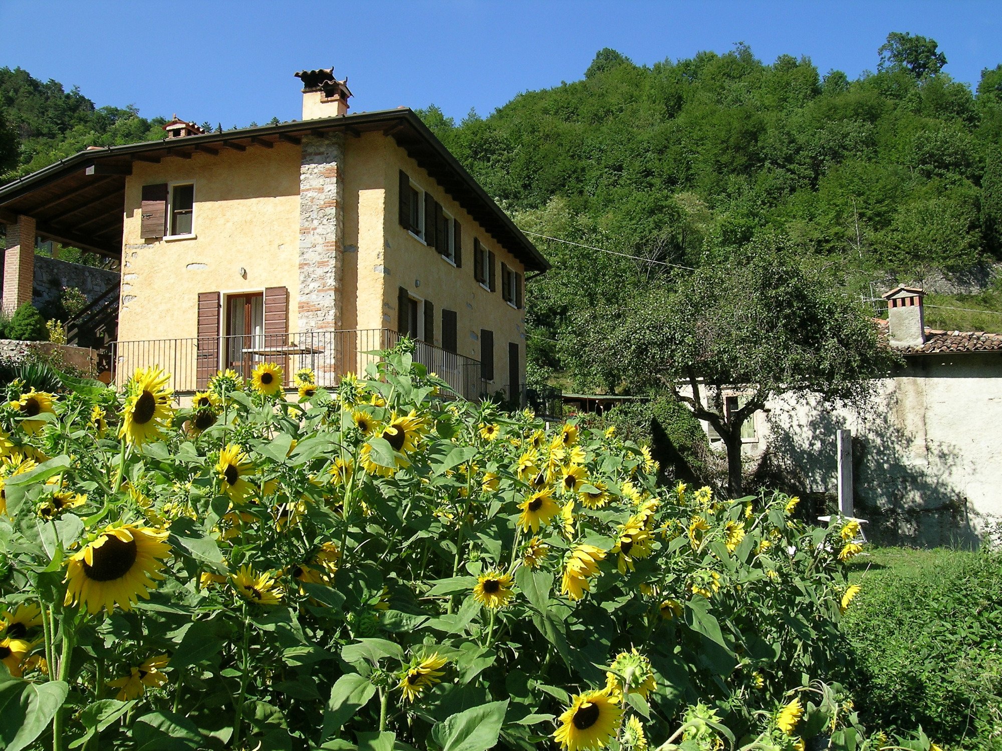 B & B Val di Brasa-浴室