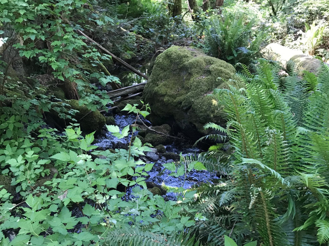 Matheson Lake Regional Park景点图片