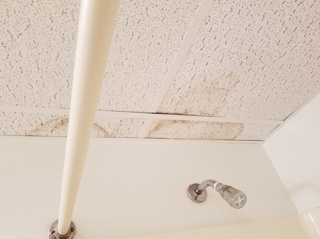 Atlantic Oceanside Dewey主图