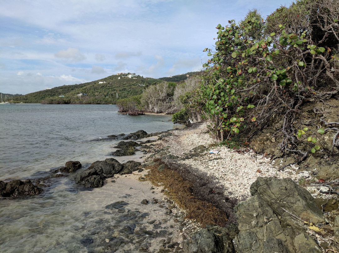 Salt River Bay National Historical Park and Ecological Preserve-Christiansted必去景点