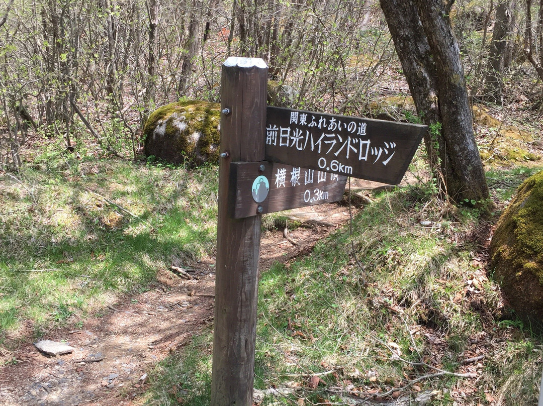 Ido Wetland-鹿沼市必去景点