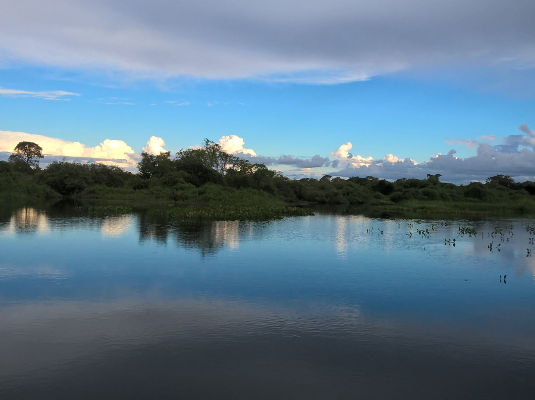 Pantanal Wilderness景点图片